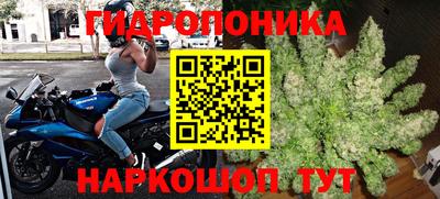 индика Кунгур