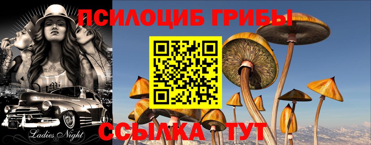 Галлюциногенные грибы мицелий  Вход с VPN  Зеленогорск  Псилоцибиновые грибы Psilocybine cubensis 
